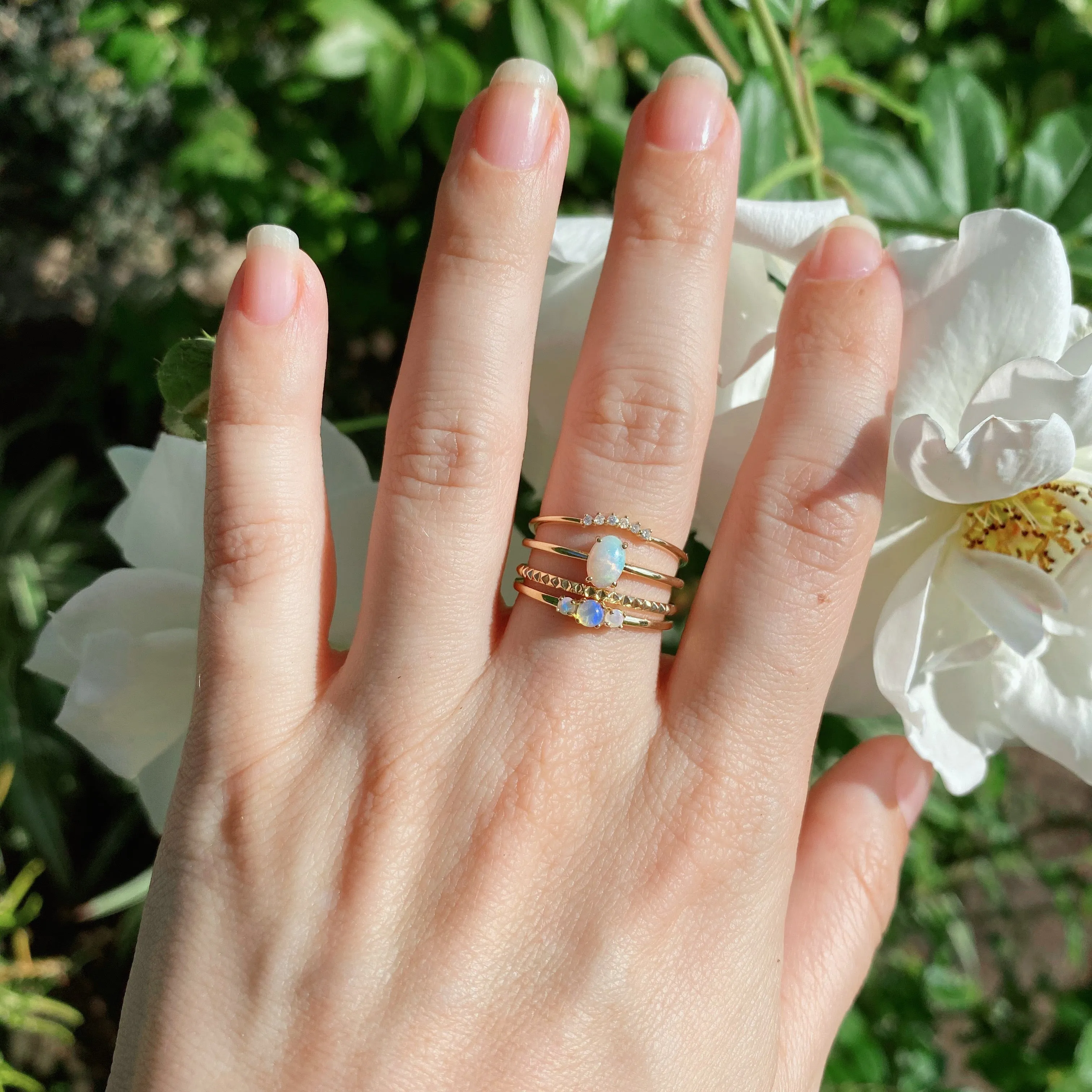 Florence stud ring